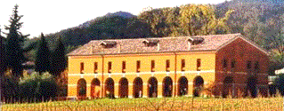 "CANTINA" Cellar