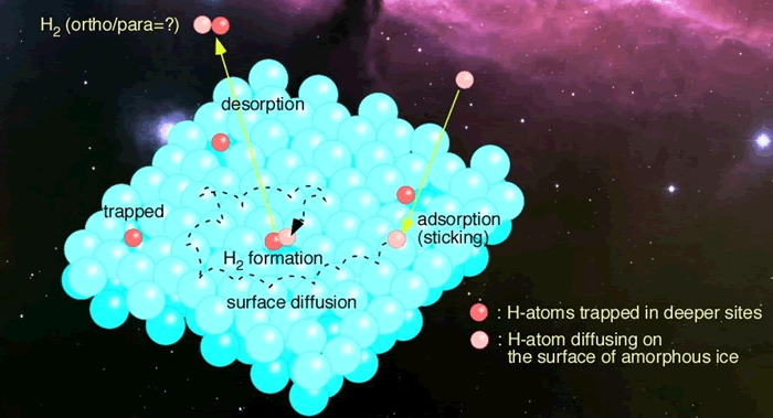 Process of molecular hydrogen formation on amorphous solid water (ASW)