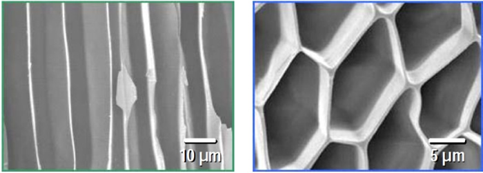 A micro-honeycomb monolith structure formed using the Ice Template Method